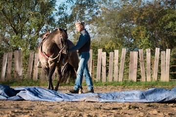 Cours d'équitation individuel et personnalisé