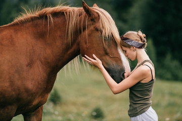 Pension chevaux : confiez votre compagnon à des professionnels