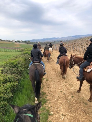 Découvrez les bienfaits de la balade à cheval à Mâcon